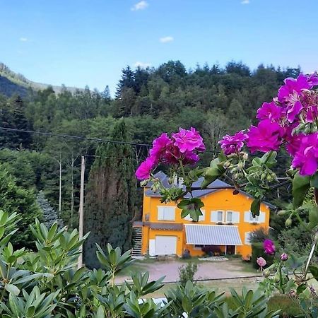 Gite Forestier Du Moulin Raon-sur-Plaine Экстерьер фото