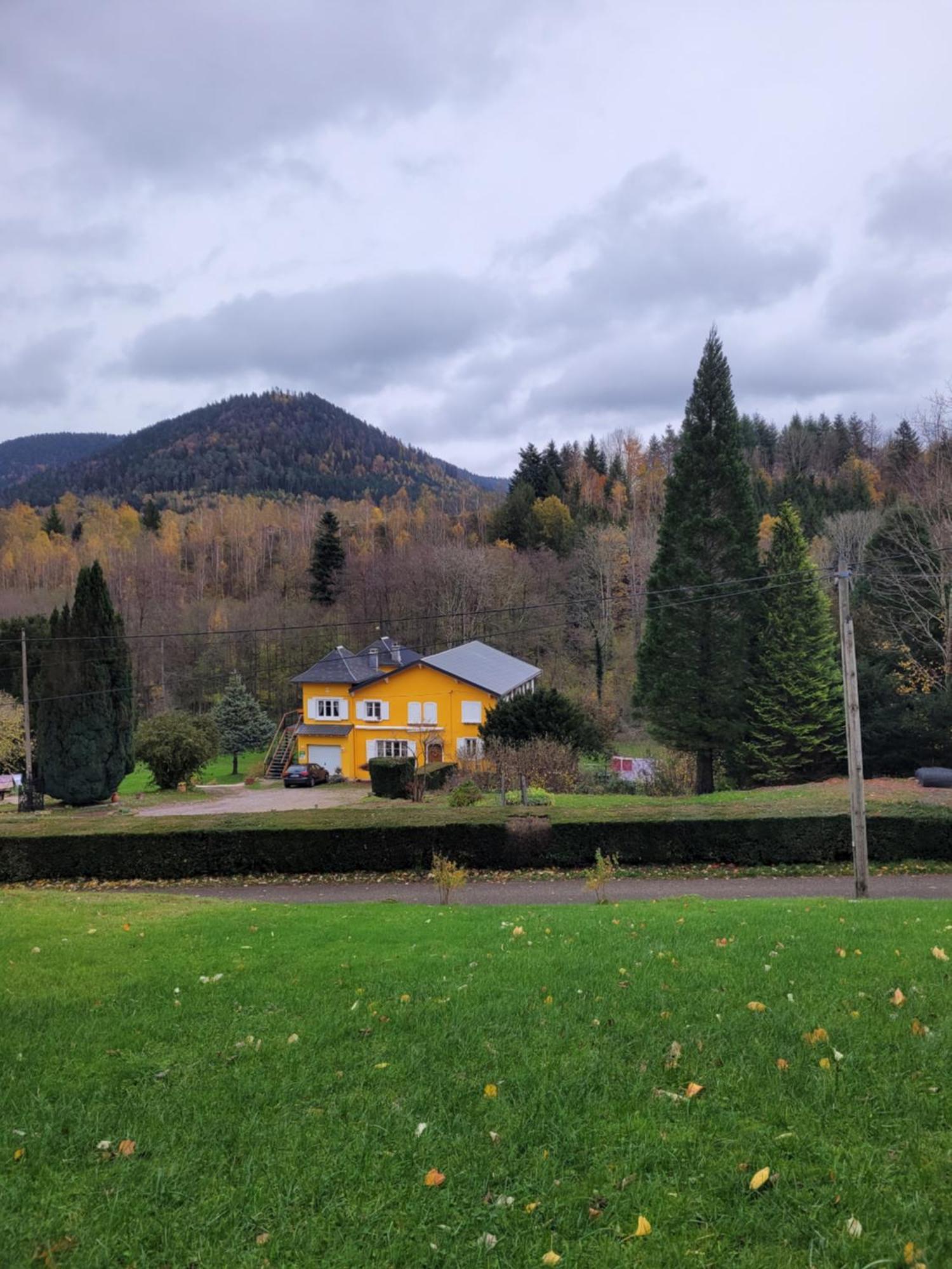 Gite Forestier Du Moulin Raon-sur-Plaine Экстерьер фото