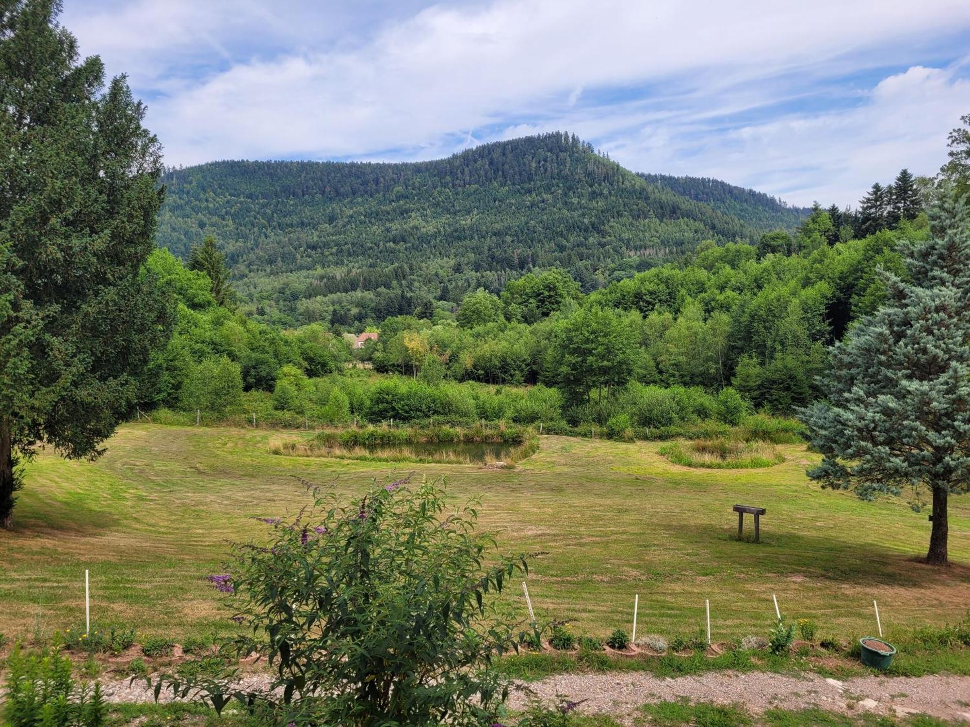 Gite Forestier Du Moulin Raon-sur-Plaine Экстерьер фото