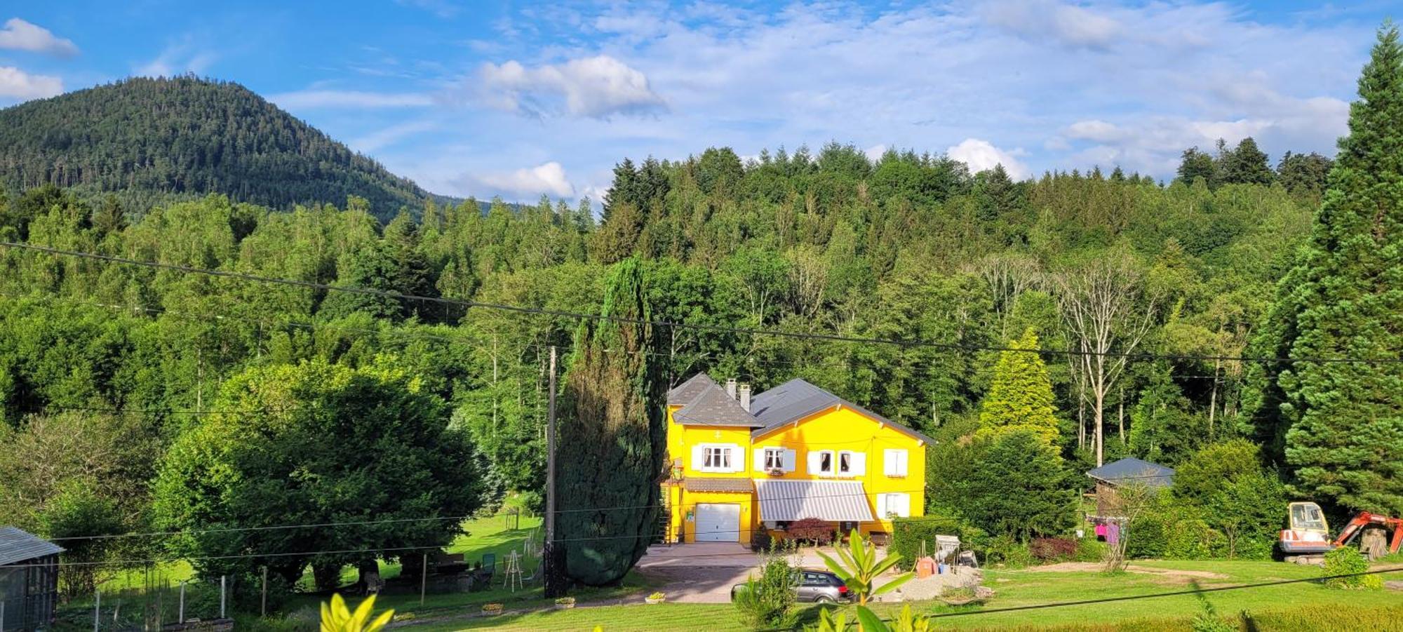Gite Forestier Du Moulin Raon-sur-Plaine Экстерьер фото